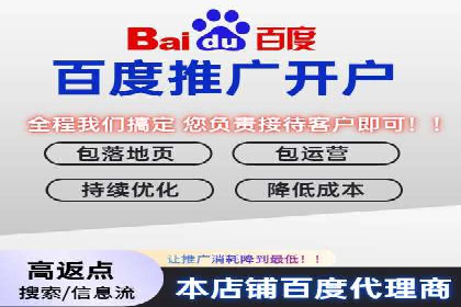 揭秘百度竞价代理：实战案例分析